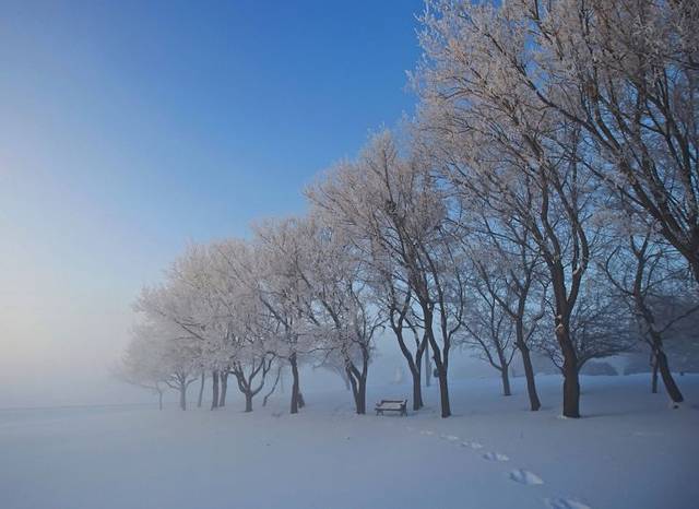 大雪祝福文案（雪落人间）