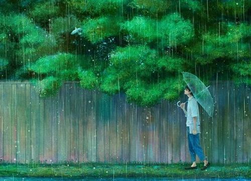 关于雨的优美短句（《梦幻雨林》——猫头鹰在雨夜里的寻觅）