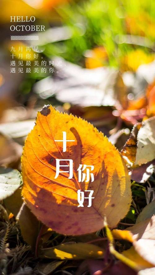 10月再见11月发朋友圈的说说（时光如水，流年匆匆，又逢离别）