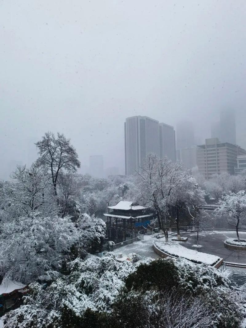 下雪天说说心情短语朋友圈下雪说说经典大全（雪落纷飞，唯美之景）