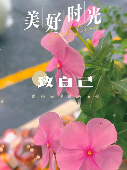 再见七月你好八月句子（《再见7月）