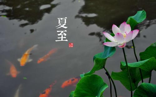 有关最新夏至节气祝福句子92条的短句（夏至祝福句子92条，致远方的你）