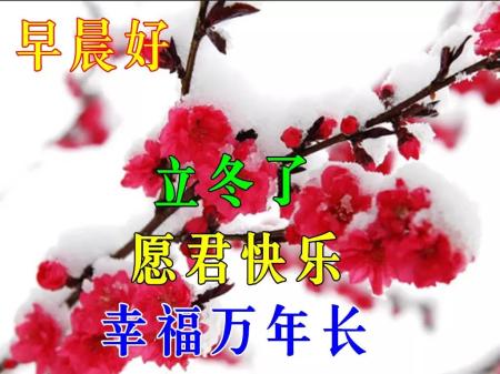 立冬祝福语朋友圈短语（立冬祝福语——以美好的祝福，为你送上暖意）