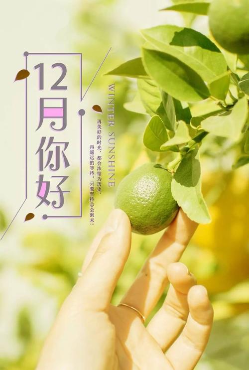 11再见12月你好的文案（寄语2019，迎接2024，以11再见12月你好）