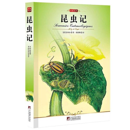 有关最新品读昆虫记有感1000字的句子有哪些（《昆虫记》：微小世界的壮美）