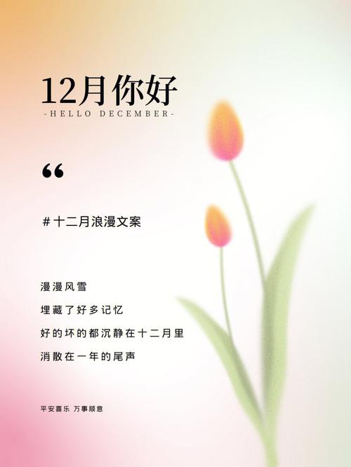 关于12月你好的朋友圈文案（寒冬中的暖心语句）