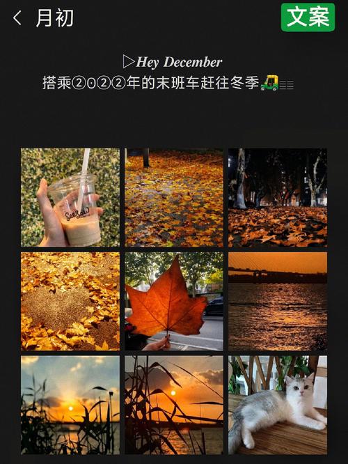 有关最新告别11月迎接12月句子的句子摘抄（追随岁月，迎接新生）