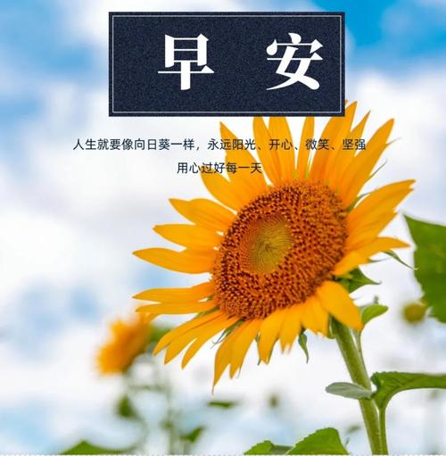 2024年早安短句正能量（《早安语录，唯美正能量》）