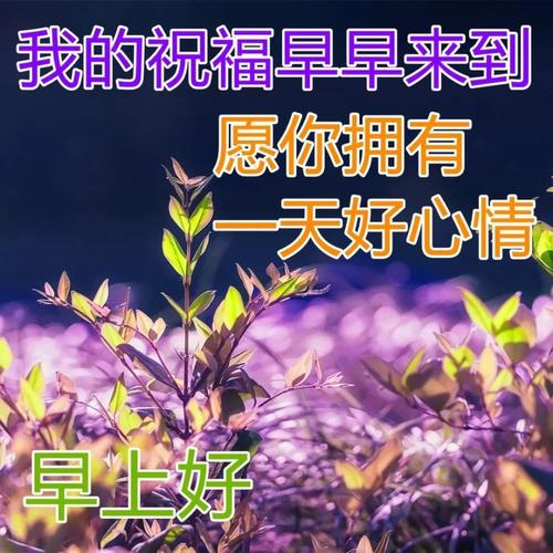 朂甜蜜的早安问候语（用心呵护，温暖每一个早晨）