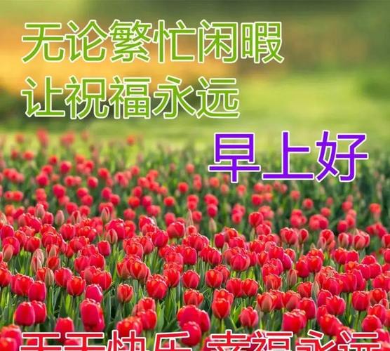 冬季早安问候语大全（2024冬季早安温馨问候语）