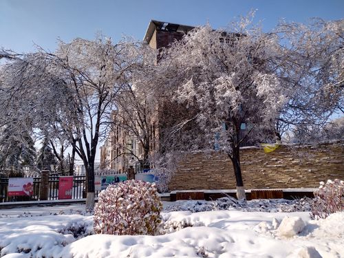 今冬第一场雪的说说（初雪飘落，美丽如画）