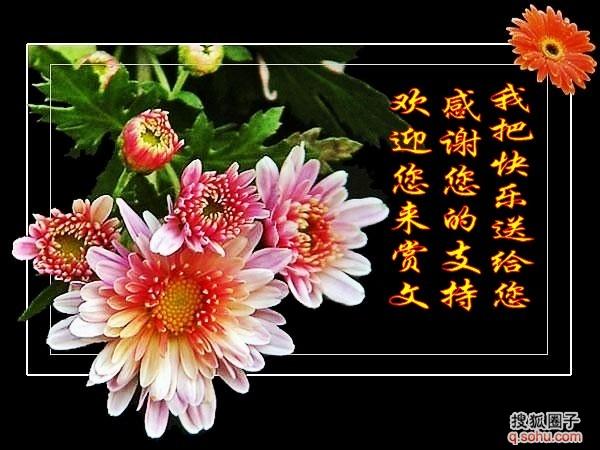 重阳节的问候语或祝福（重阳祝福）