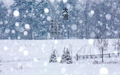 二十四节气大雪优美句子（大雪时节，美丽冬景）