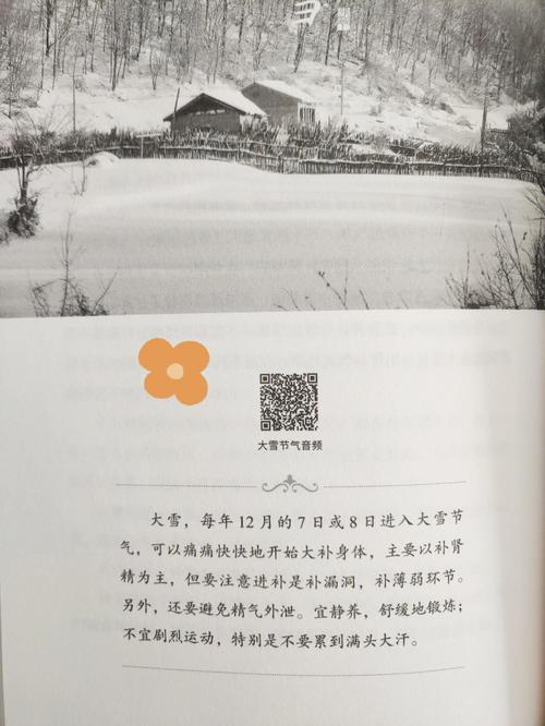 二十四节气大雪优美句子（大雪时节，美丽冬景）