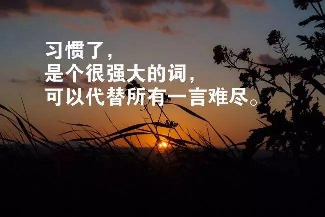 正能量的名言警句及理解（正能量美句，润物无声）