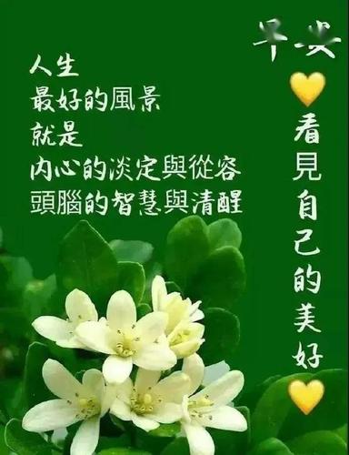 早上好的问候美句短句（《早上好，世界，你好美好！》）