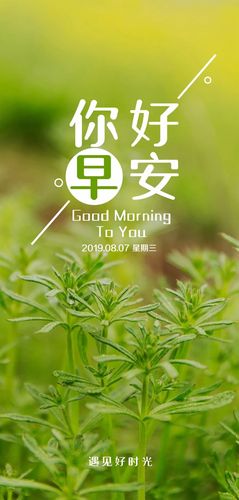 早安的正能量的句子说说心情（《早安心语，传递正能量》）