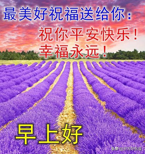 早安开心句子说说心情（花开花落，早安唯美短句）