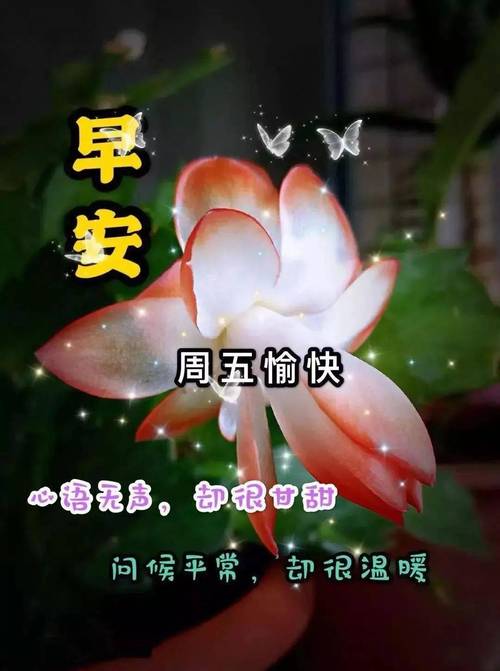 早安的温馨问候语（早安问候，暖心表达——唯美短句篇）