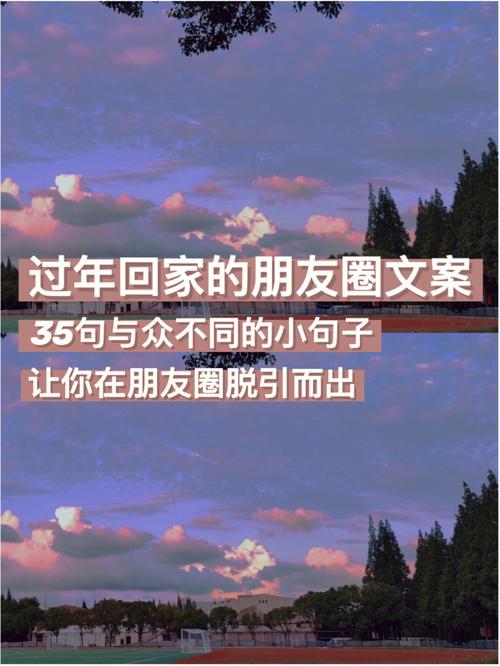 过年回家发朋友圈的说说（2024过年回家朋友圈说说）