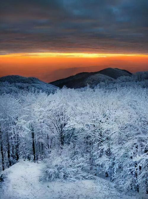 描写冬天景色的古诗词名句有哪些（优美冬景：雪域飞舞的诗意世界）