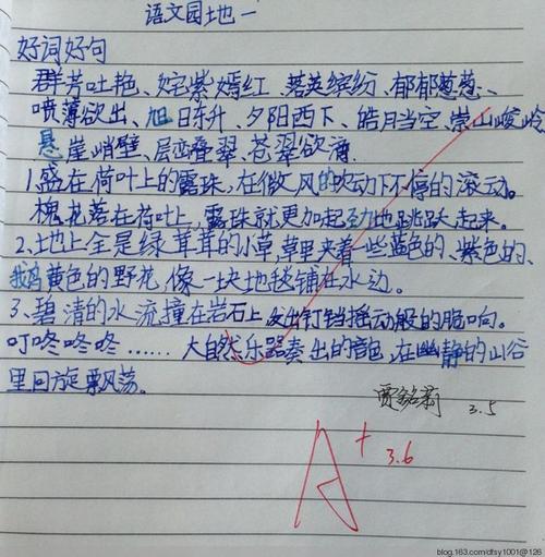 关于英语好词好句的句子（绽放唯美，摘抄英语好词好句）