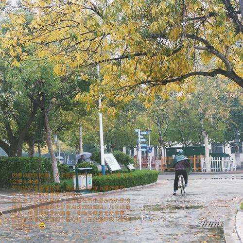 关于一场秋雨一场寒的文案（秋分的一场秋雨一场寒）