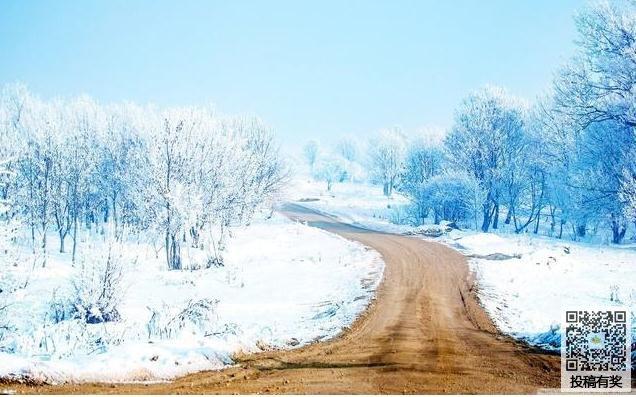 关于雪景的短句（白茫茫的世界，静谧而优美）