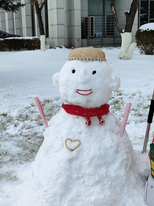 有关冬天第一场雪好句的好句摘抄（《初雪染白天地》）