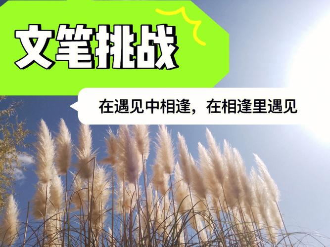 关于挑战的优美短句10字（挑战人生，追寻美好）