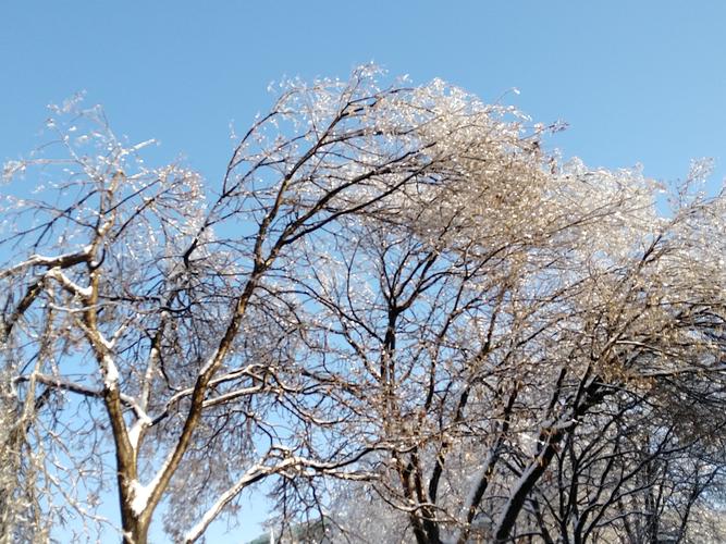 有关冬天第一场雪伤感朋友圈说说的短句子（雪花飘落，孤独而美丽）