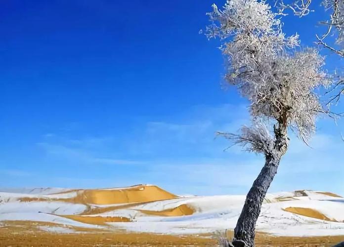 有关冬天下雪了朋友圈暖心好句的句子有哪些（冬雪初降，暖心好句温暖人心）