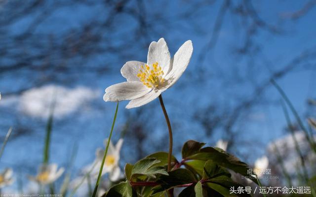 人生之路感悟的句子（人生之路——行路有良友）