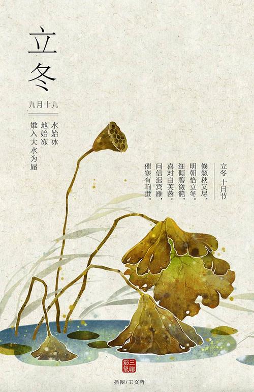 关于立冬的唯美句子（立冬，枯荣交替的季节）