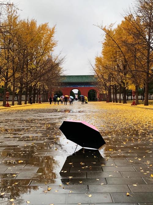 有关关于冬雨的唯美句子的好句有哪些（穿梭在雨中的诗意）