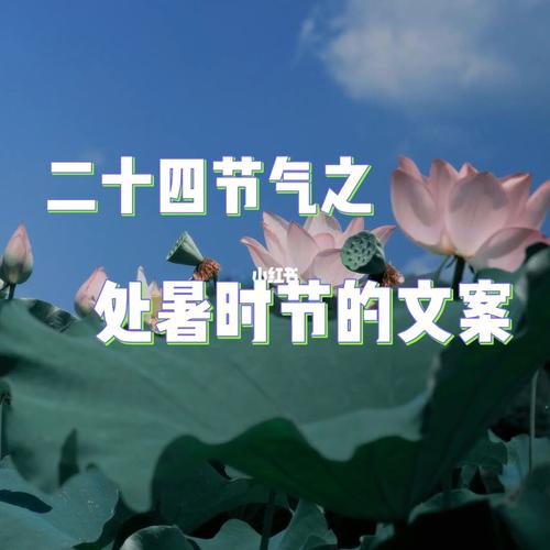 处暑的经典古诗词（天高云淡，风柔日和，暑意渐消，秋意渐浓）