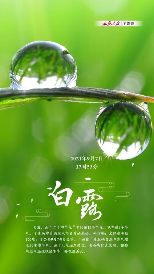 白露祝福语发到朋友圈一句话（唯美短句送你一份祝福）