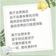 关于爱情真诚的文案（真爱永恒）