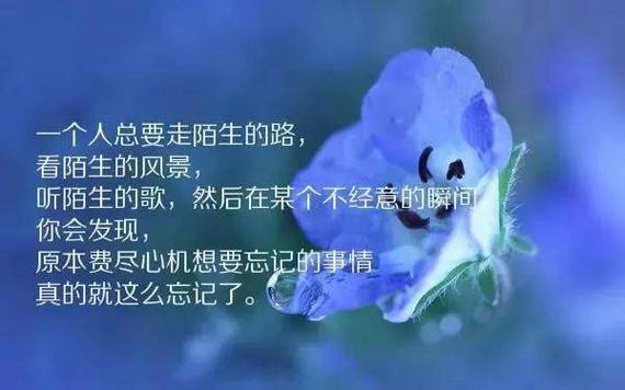 用文字记录清晨美好，温暖自己和身边的人（用文字记录清晨美好）