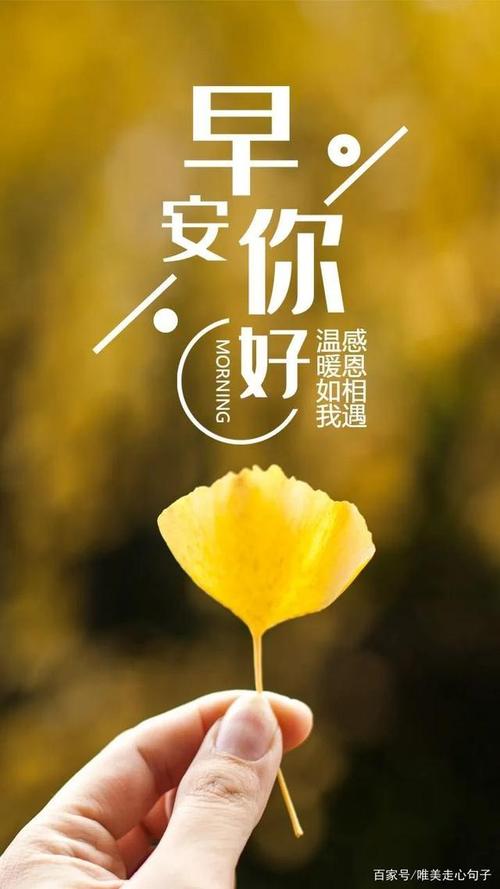 清晨的美好祝福（25个唯美的问候语）