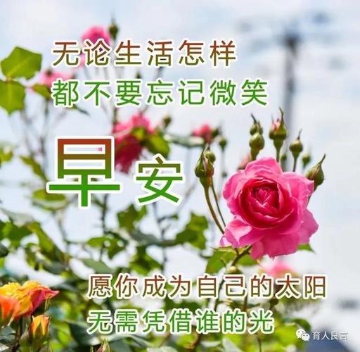 清晨的美好祝福（25个唯美的问候语）