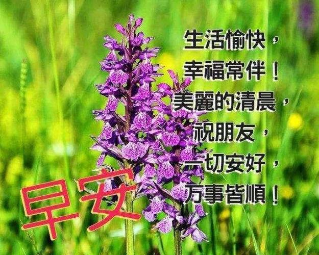 一起迎接清晨的阳光（一起迎接清晨的阳光）