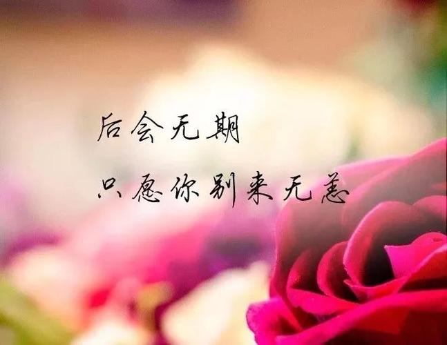 再见后会无期，离别的悲伤与美好（用唯美短句送别）