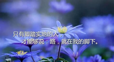 花开花落，人间春色（花开花落）