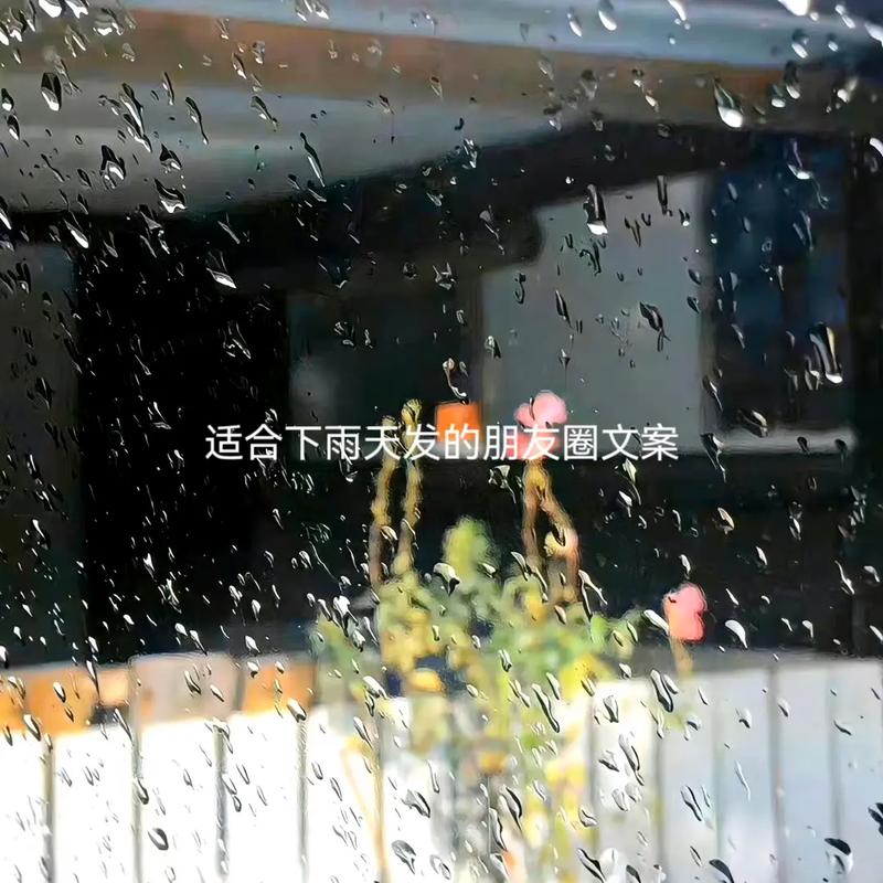 唤起心灵深处的雨季浪漫（2024）