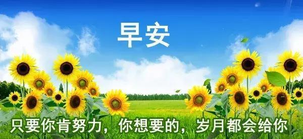 迎接春天的早安祝福（用唯美短句为你送上暖心问候）