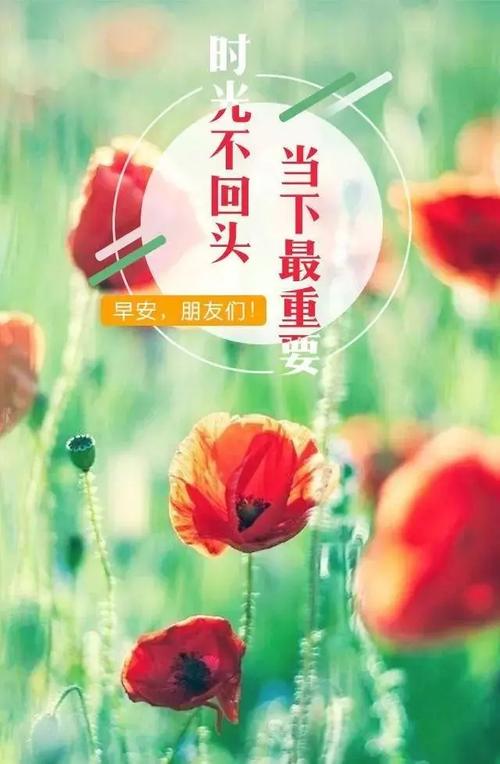 清晨美好时光——适合发朋友圈的短句2024（唯美诗意）