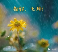 《静待六月花开》