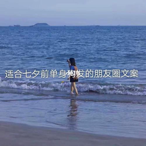 寻找属于自己的浪漫（寻找属于自己的浪漫）