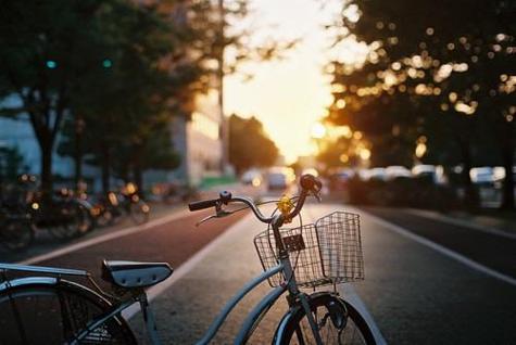 在追求梦想的道路上，勇往直前（在追求梦想的道路上）